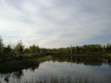 吉林大学校园环境