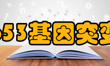 p53基因突变与肿瘤P53基因与人类50%的肿瘤有关