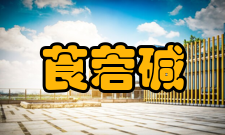 莨菪碱计算化学数据