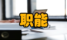 现代企业管理四大职能