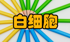 白细胞减少忌口
