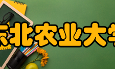 东北农业大学现任领导