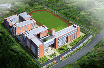 信息管理学院研究发展