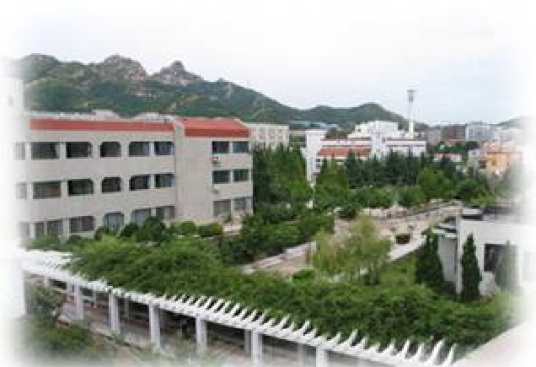 青岛大学教师教育学院教学建设