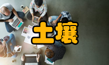 土壤学报栏目方向