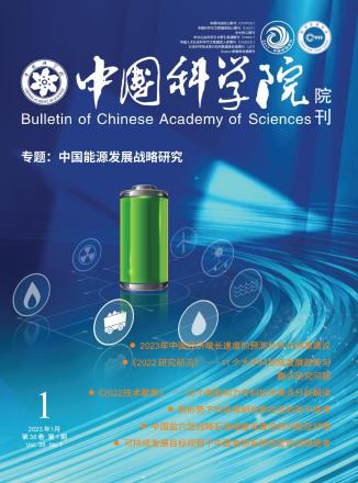 中国科学院科技战略咨询研究院学术刊物据