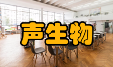 声吸收生物介质声吸收