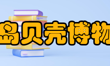 青岛贝壳博物馆参观信息