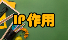 IP作用优势