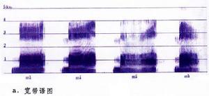 语言声学语图仪40年代出现的语图仪