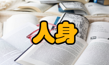 人身安全第二十五条