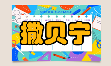 撒贝宁主持节目