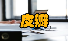 皮瓣移植术后体位