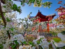 烟台大学学科建设