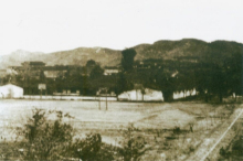 福建农林大学林学院办学历史1940年