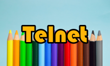 Telnet子选项协商