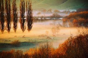 史密森尼学会弗里尔美术馆