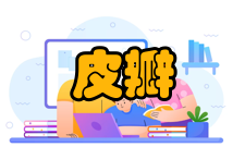 皮瓣移植逆行设计