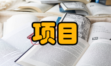 项目风险管理目标