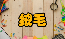 色素沉着绒毛结节性滑膜炎临床表现