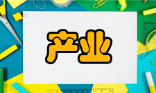 产业学院建设管理