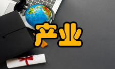 产业价值链循环性