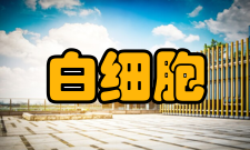 白细胞减少理疗中医理疗