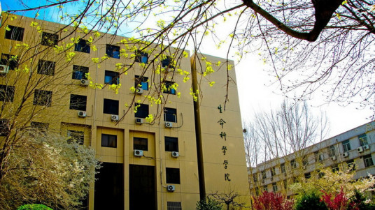 山东大学生命科学学院学院