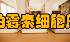 雷帕霉素细胞周期