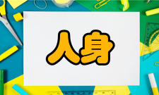 人身安全第二十三条