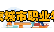 南京城市职业学院合作办学