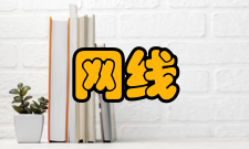 网线网线的标准