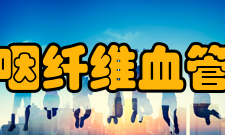 鼻咽纤维血管瘤检查X线摄片