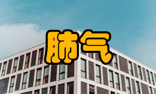 肺气不宣表现中医上讲肺主宣发肃降