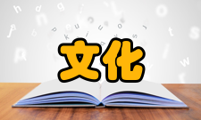 管理文化研究现状