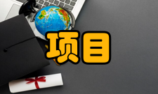 项目风险管理风险输出