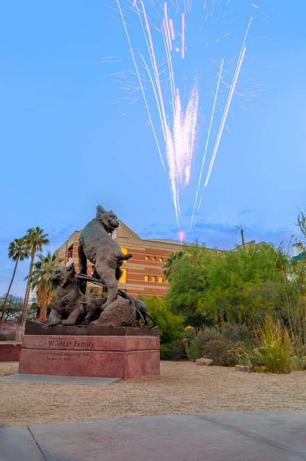 亚利桑那大学语言预科中心图森环境大学城的氛围