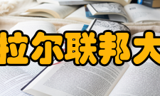 乌拉尔联邦大学专业设置艺术与人文：语言学