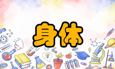 运动训练身体训练是运动训练的重要内容