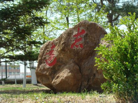 辽宁工业大学师资力量