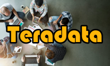 Teradata产业活动