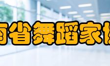 云南省舞蹈家协会对外交流