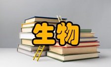 生物圈基本结构