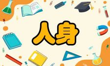 人身安全第六条