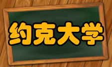 美国约克大学奖学金