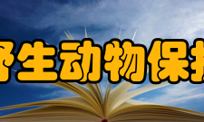 中国野生动物保护协会附则