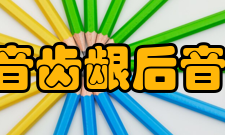 斯瓦希里语日语发音大全