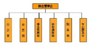 中国医药生物技术协会理事成员名誉