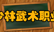 嵩山少林武术职业学院学校荣誉