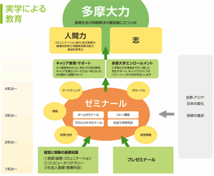 多摩大学办学规模